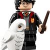 Harry Potter mit Hedwig Fig. 1 (71022)